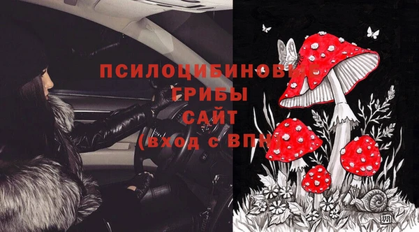 круглые Осташков